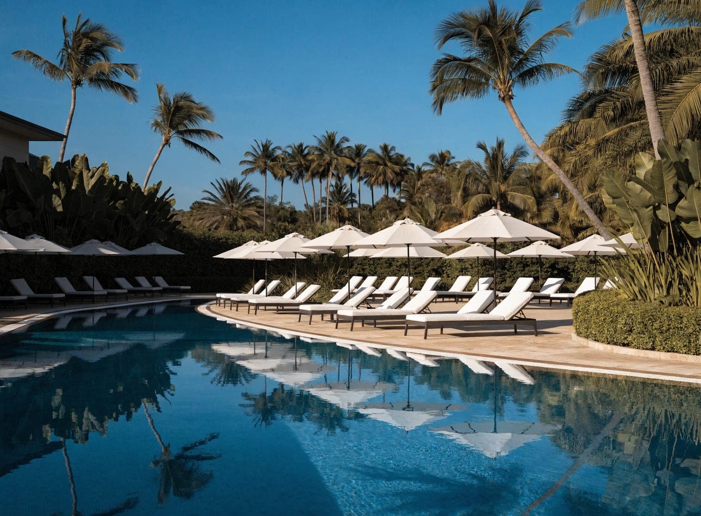 Palm-lined resort pool deck on a clear afternoon